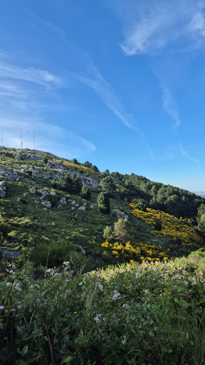 Monte Calvario 2